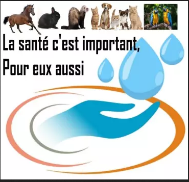 argent colloidal pour les animaux